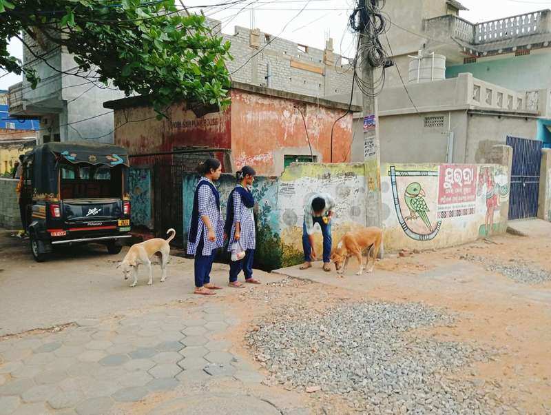 Animal Welfare